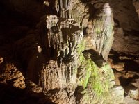 DSC_5601 Parque Nacional de las Cavernas del Río Camuy -- A trip to Puerto Rico -- 19 March 2017