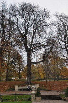 DSC_0450 null