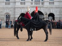 DSC_5623 Changing of the horse guard (London, UK) -- 27 November 2014