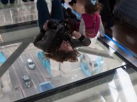 DSC_1032 Tower Bridge Glass Floor -- Tower Bridge Exhibition (London, UK) -- 14 February 2016