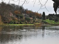 DSC_4020 Tour of Leeds Castle [Kent] (United Kingdom) -- 23 November 2012