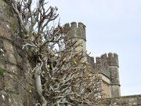 DSC_4031 Tour of Leeds Castle [Kent] (United Kingdom) -- 23 November 2012