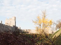 DSC_5713 A visit to Windsor Castle (Windsor, Berkshire, South East Region, UK) -- 29 November 2014