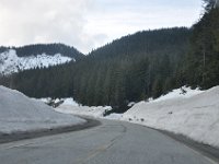 DSC_3981 Cypress Mountain