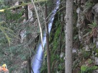 DSC_4298 Lynn Canyon Suspension Bridge (Lynn Canyon Park)