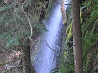 DSC_4300 Lynn Canyon Suspension Bridge (Lynn Canyon Park)