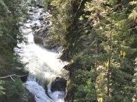 DSC_4301 Lynn Canyon Suspension Bridge (Lynn Canyon Park)