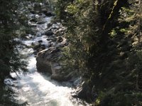 DSC_4302 Lynn Canyon Suspension Bridge (Lynn Canyon Park)