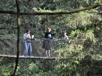 DSC_4305 Lynn Canyon Suspension Bridge (Lynn Canyon Park)