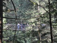 DSC_4306 Lynn Canyon Suspension Bridge (Lynn Canyon Park)