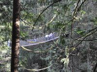 DSC_4308 Lynn Canyon Suspension Bridge (Lynn Canyon Park)