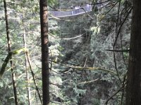 DSC_4310 Lynn Canyon Suspension Bridge (Lynn Canyon Park)