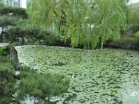 DSC_6503 A visit to the Dr. Sun Yat-Sen Park (Vancouver, British Columbia, Canada) -- 25 May 2013