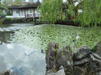 DSC_6507 A visit to the Dr. Sun Yat-Sen Park (Vancouver, British Columbia, Canada) -- 25 May 2013