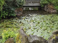 DSC_6511 A visit to the Dr. Sun Yat-Sen Park (Vancouver, British Columbia, Canada) -- 25 May 2013