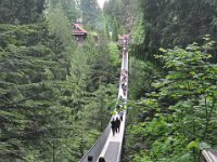 DSC_6665 Capilano Suspension Bridge Park (Vancouver, British Columbia) -- 26 May 2013