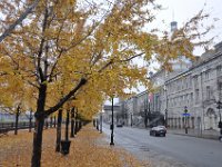 DSC_2222 Old Montreal (Vieux-Montréal) 15 November 2009