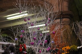 DSC_3140 null