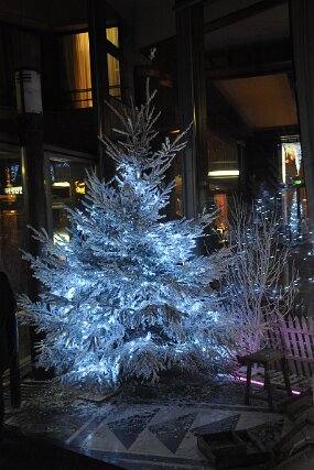 DSC_2250 null