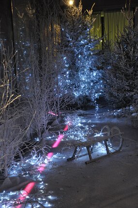 DSC_2254 null