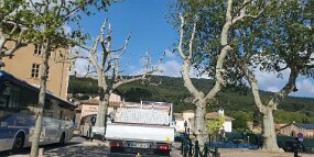 20250429_161636 null