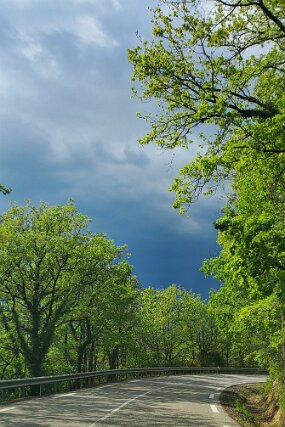 20250429_163249 null