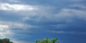 20250429_164746 null