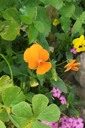 20250429_113232 null
