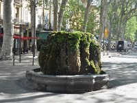 DSC_0051 Another mossy fountain -- A day in Aix-en-Provence, France (25 April 2012)