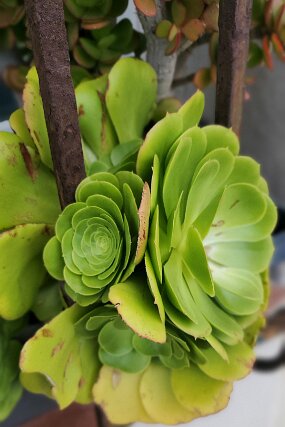 20250427_174109 null