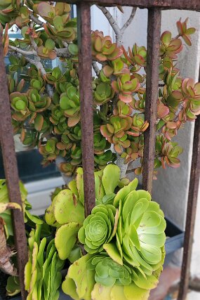 20250427_174113 null