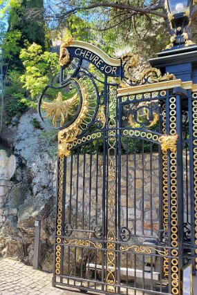 20250425_110548 null