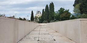 20250428_104406 null