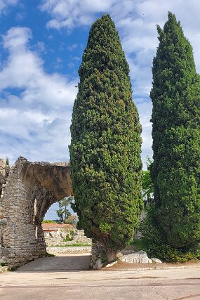 20250428_110024 null