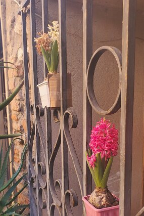 20220122_112002 null