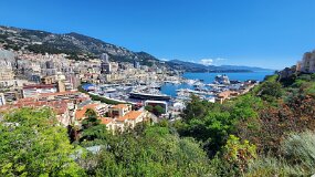 20250425_115418 null