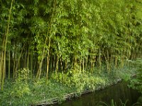 DSC_0684 Maison et Jardin de Claude Monet: Japanese Garden (Giverny, France) -- 30 August 2014