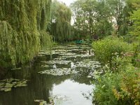 DSC_0692 Maison et Jardin de Claude Monet: Japanese Garden (Giverny, France) -- 30 August 2014