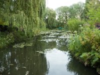 DSC_0693 Maison et Jardin de Claude Monet: Japanese Garden (Giverny, France) -- 30 August 2014