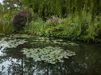 DSC_0698 Maison et Jardin de Claude Monet: Japanese Garden (Giverny, France) -- 30 August 2014
