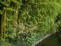 DSC_0742 Maison et Jardin de Claude Monet: Japanese Garden (Giverny, France) -- 30 August 2014