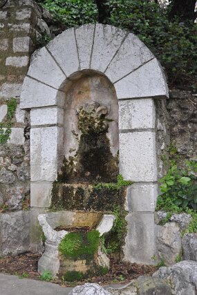 DSC_6162 null