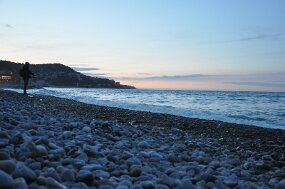 DSC_6010 null