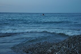 DSC_6024 null