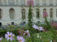 DSC_1070 A visit to Versailles, France -- 30 August 2014