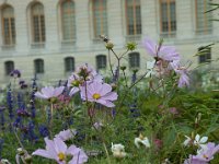 DSC_1071 A visit to Versailles, France -- 30 August 2014