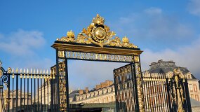 20241226_103334 null