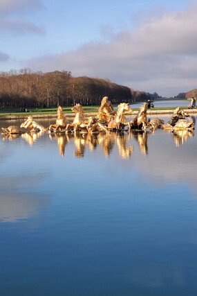 20241226_110347 null