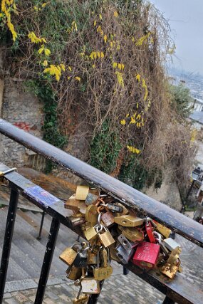 20241224_145719 null