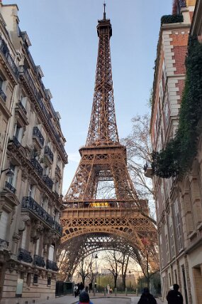 20241227_084357 null